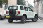 Tank 300 Time Traveler Compact SUV– Buy Direct From China | Chinese EV Zambia