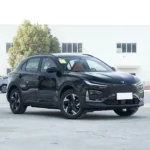 Neta X 500– Buy Direct From China | China Electric Car Zambia - Image 11